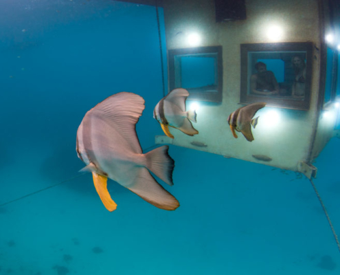 the manta resort underwaterroom